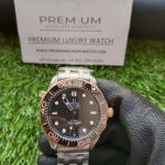 Omega Seamaster 300M Automatic 42MM Men's Watch 210.20.42.20.01.002