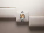 Omega seamaster aqua terra orange 150m Co-Axial Master Chronometer 38 MM Men’s Wrist Watch