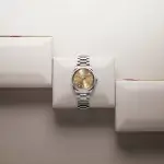 Omega seamaster aqua terra orange 150m Co-Axial Master Chronometer 38 MM Men’s Wrist Watch